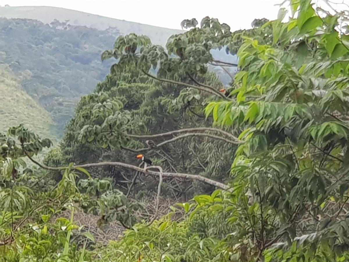 Vale Das Maritacas Teresopolis Villa Kültér fotó