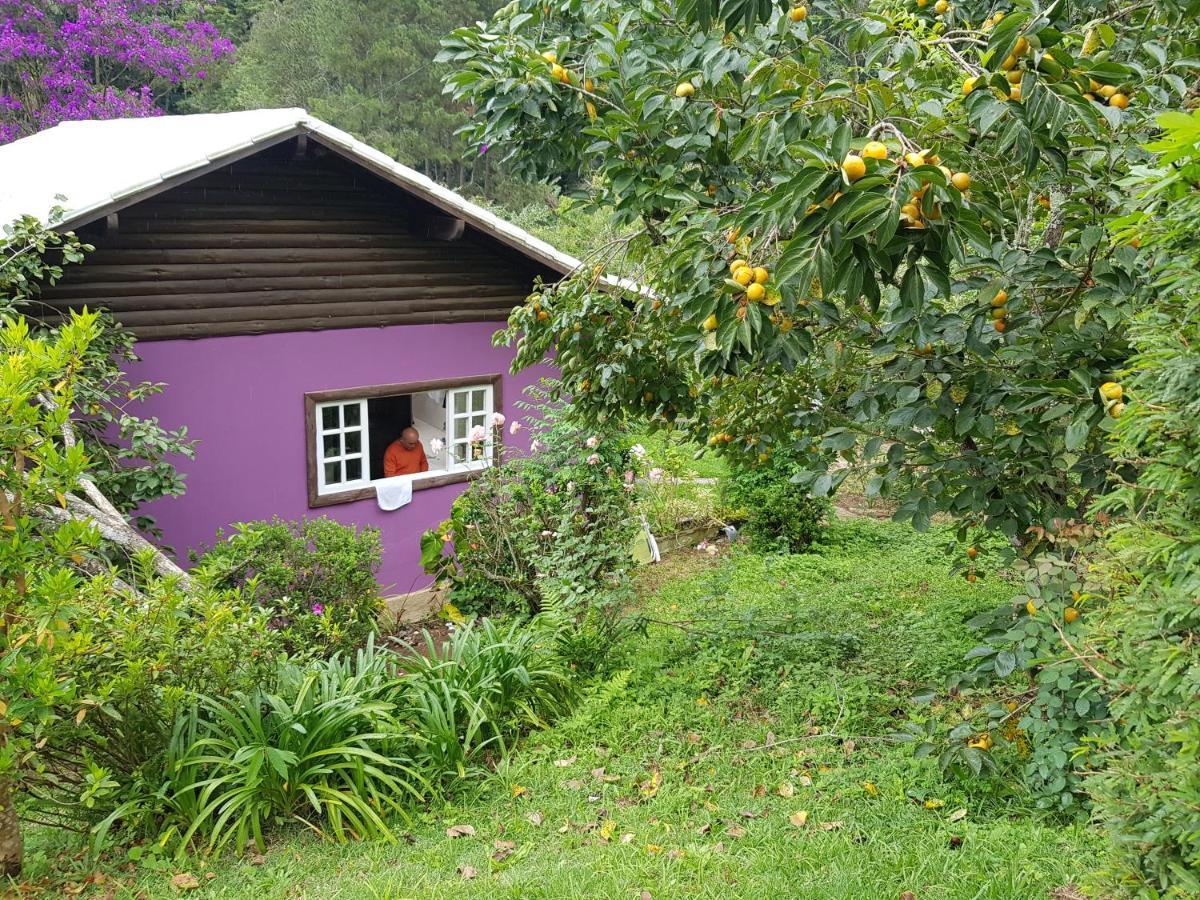 Vale Das Maritacas Teresopolis Villa Kültér fotó
